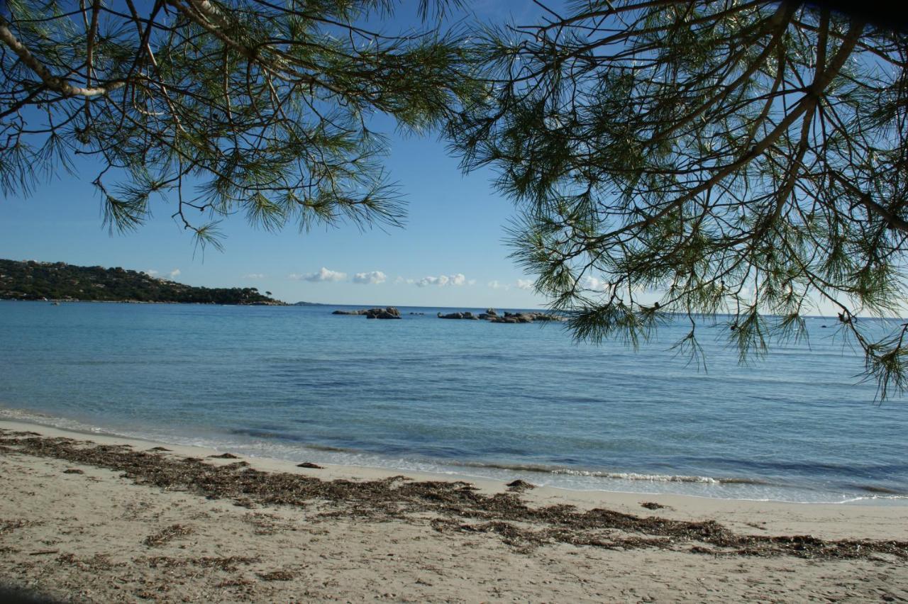 Hébergement de vacances De Charme A 300 M De La De Santa Giulia *